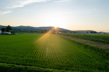 北海道の自然のある風景  Landscape with nature in Hokkaido 