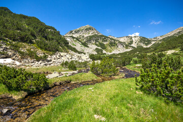 Fototapeta na wymiar Mountain river and Muratov Peak, Pirin Mountain, Bulgaria