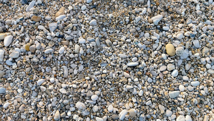 Spiaggia di sassi e conchiglie