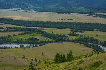 Obraz premium picturesque view of pure rapid river flowing among mountains at summer day 