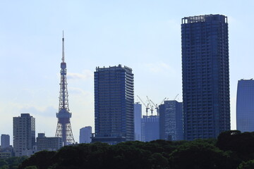 Fototapeta premium 築地大橋からの眺め