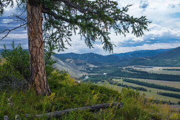 Panoramic view of plain with forest and mountains on background 
