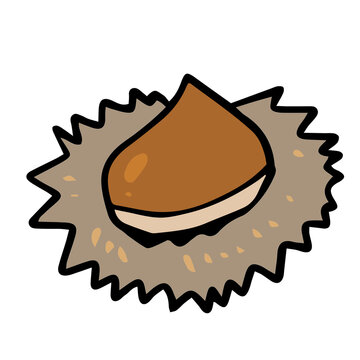 いがぐり Images Browse 1 5 Stock Photos Vectors And Video Adobe Stock