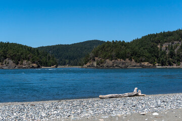 Obraz premium Rocky beach and driftwood