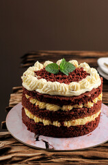 Delicious Tiramisu Italian Cake 