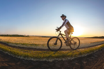 Naklejka na ściany i meble The cyclist rides a bike on the road near the field against the backdrop of the setting sun. Outdoor sports. Healthy lifestyle.