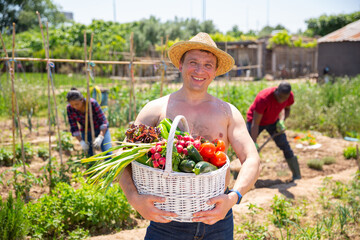 Fototapeta premium Mature man gardener holding basket with harvest of fresh vegetables in rural