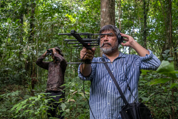 Fototapeta premium animal tracking signal technology,Find animal. The concept of searching
