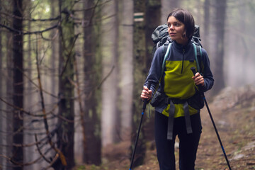 A young girl is engaged in active pastime, walks in the mountains along the trail, the forest with relict trees at sunset on the background. Traveler is hiking in the national park.