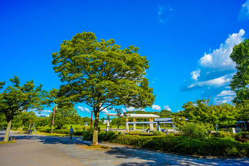 梅小路公園 京都