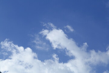 Fototapeta premium Freshness concepts- bright blue sky with clouds,