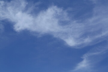 Tropical bright sunny day blue sky background.