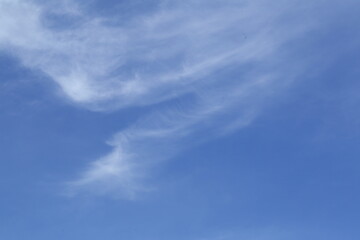 Tropical bright sunny day blue sky background.
