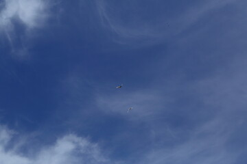 Bright blue sky background.