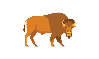 Wild animal American Bison (Bison bison) side angle view, flat style vector illustration isolated on white background