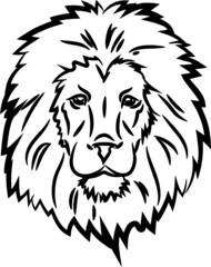 Fototapeta na wymiar hand drawn lion head with black stroke.