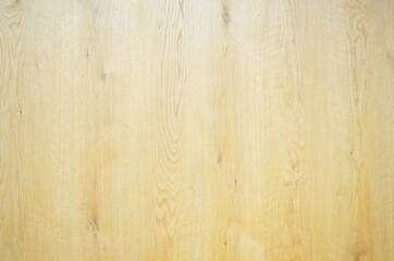 Beautifully processed birch veneer texture background. Stylish wood grain background