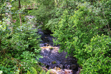 Obraz premium waterfall in the forest