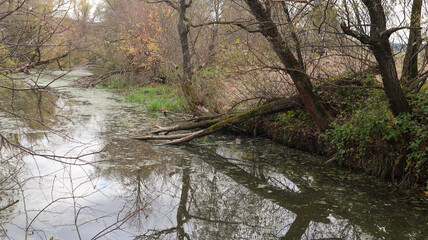 Autumn natural landscape. For postcards and calendars. 8