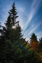 A tourist tent standing on the top of a mountain in the autumn forest against the backdrop of a blue cloudy sky and the setting sun