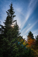 A tourist tent standing on the top of a mountain in the autumn forest against the backdrop of a blue cloudy sky and the setting sun