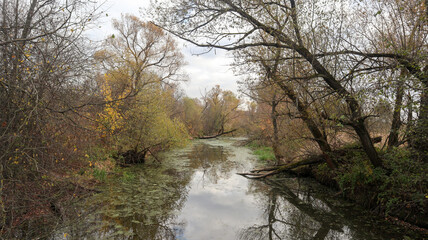 Autumn natural landscape. For postcards and calendars. 6