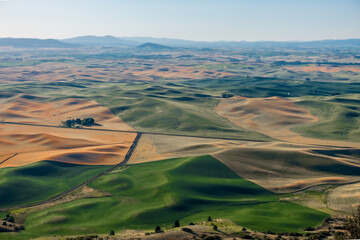 Magical wheat farm fields in palouse washington