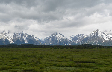 Late Spring in Grand Teton National Park: Looking Across Willow Flats to Doane Peak, Eagle Rest Peak, Rolling Thunder Mountain, Traverse Peak, Window Peak and Mount Moran of the Teton Range