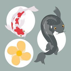 set of koi fishes