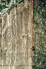 Ancient wooden door. Texture of the old wood is impossible to miss. Retro vintage handle