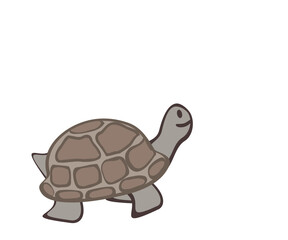 turtle cartoon, vector amphibians illustration, painting, drawing