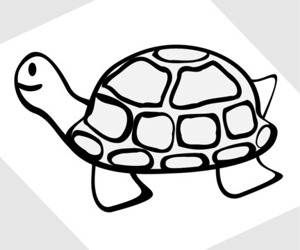 turtle cartoon, vector amphibians illustration, painting, drawing