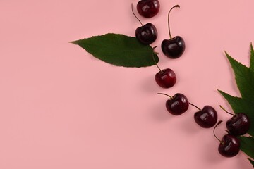 Ripe cherries with stalks and leaves on pink background.