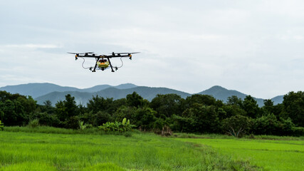 Fototapeta na wymiar Drones for spraying fertilizers and chemicals in agriculture, modern agriculture.