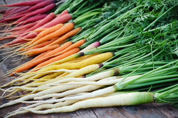 Colorful rainbow carrots on a wooden table.