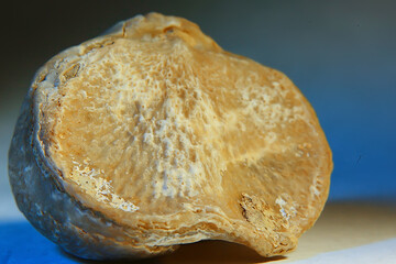 quartz crystals in nature druse gem gemstone