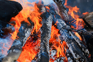 fire coals background burns the fire tree firewood