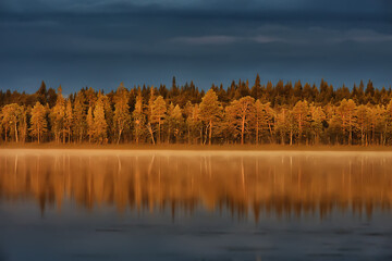scenic, autumn landscape trees and forest river and lake, nature view fall background