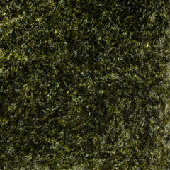 焼き海苔 クローズアップ