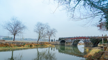 Obraz premium bridge in the park