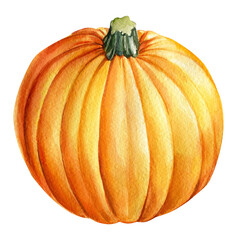 Pumpkin on an isolated white background. Watercolor illustration, autumn