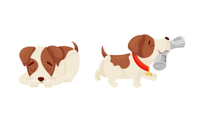 Jack Russell Terrier with Collar Cuddling and Carrying Newspaper Vector Set