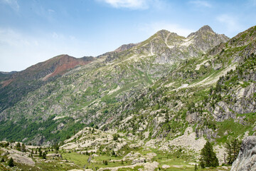 Fototapeta na wymiar Meadows, rivers, forest, lakes and mountains in the Aragonese Pyrenees bordering the French border