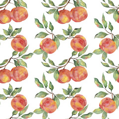 Watercolor pattern with fruits, ripe peaches with leaf branches on a white background. Botanical illustration for fabrics, packaging, postcards, posters