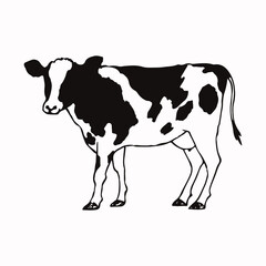 牛のシンプルな手描きのイラスト