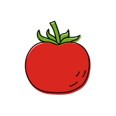 Tomato. Vegetable sketch. Color simple icon. Hand drawn vector doodle illustration
