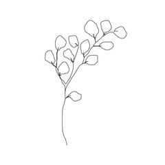 Leaves Branch Line Art Drawing. Floral Minimalist Contour Drawing. One Line llustration. Simple Plant Black Sketch Isolated on White Background. Vector EPS 10