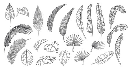 Line art tropical leaves. Outline forest palm monstera fern hawaiian leaves. Hand drawn tropical elements vector illustration.