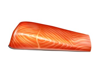 Salmon fish fillet slice realistic vector illustration isolated. Raw red fish peeled fillet, trout fresh steak.