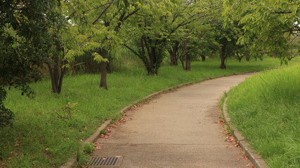 公園の遊歩道